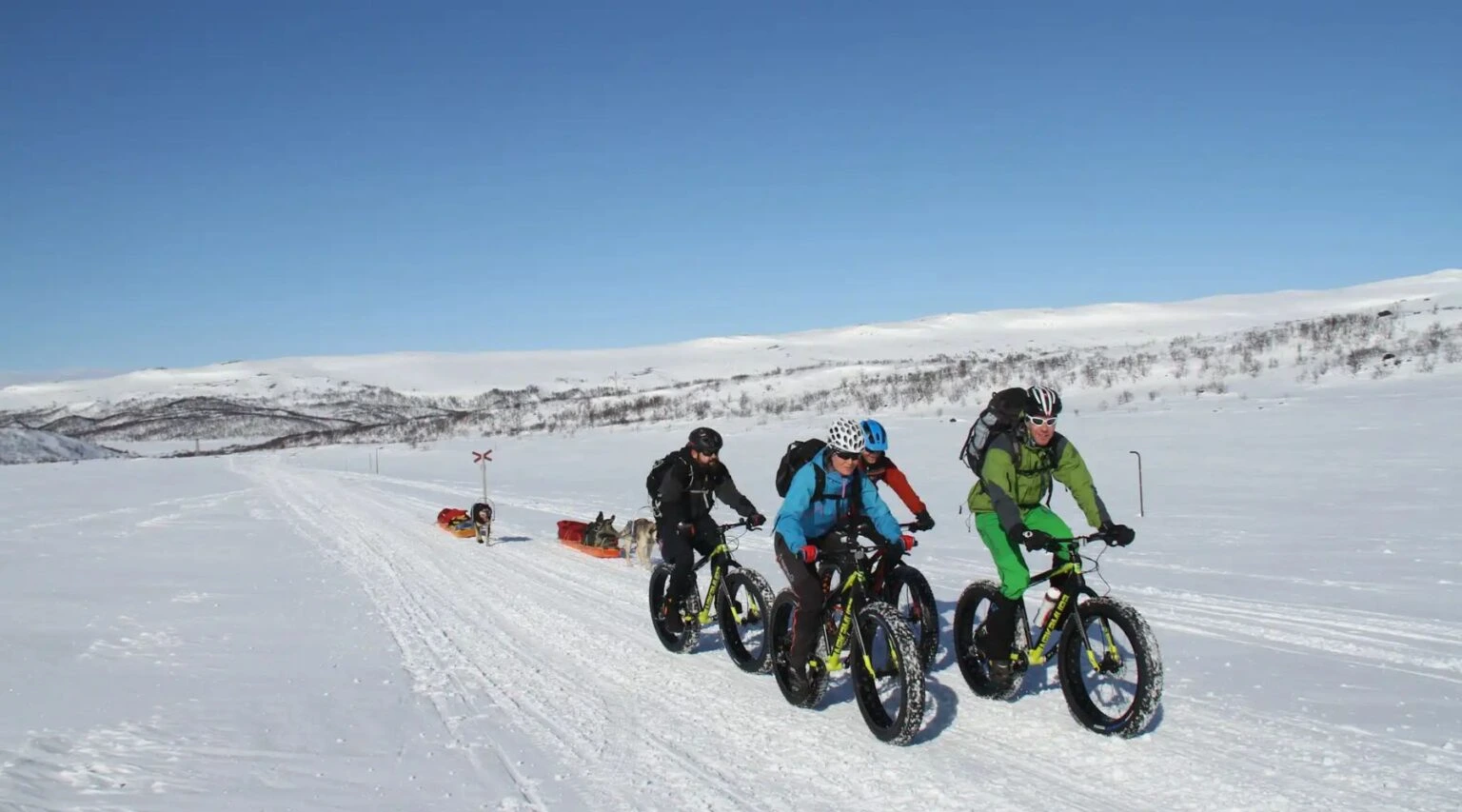 Cycling in the Arctic Circle | Travel Scout