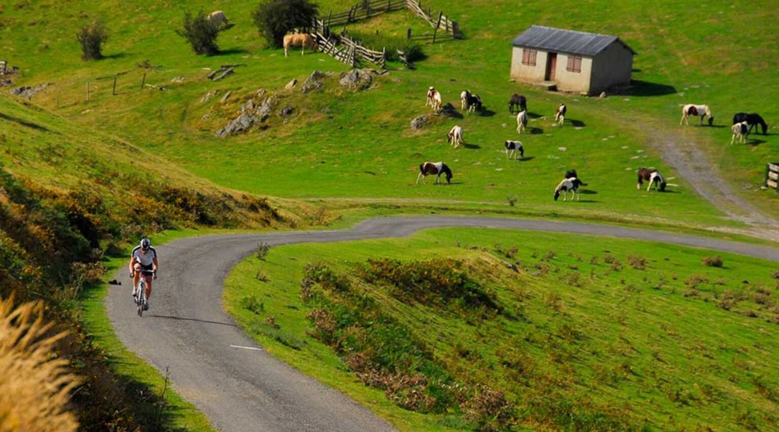 Cycling in the Basque Country | Travel Scout