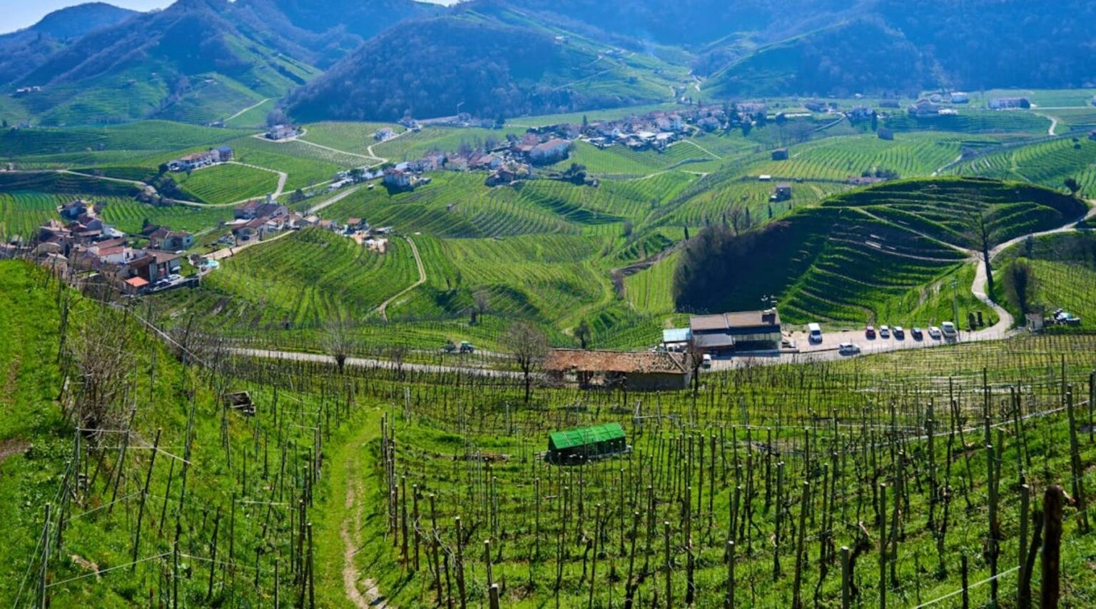 Cycling in the Prosecco Hills | Travel Scout