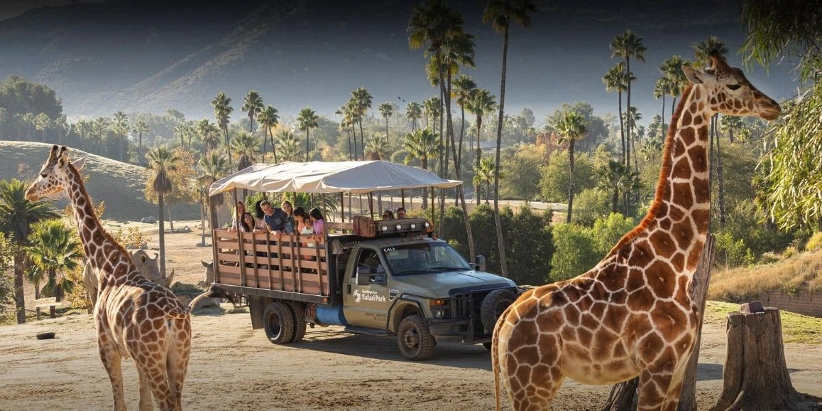 San Diego Zoo Safari Park | Travel Scout