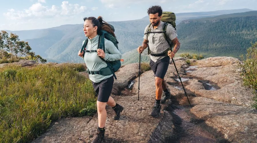 Walking Sticks | Travel Scout