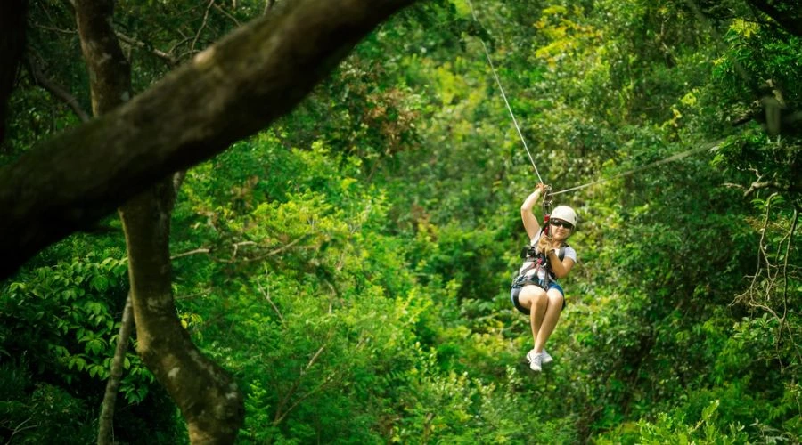 Cloud Forest Canopy at Monteverde | Travel Scout