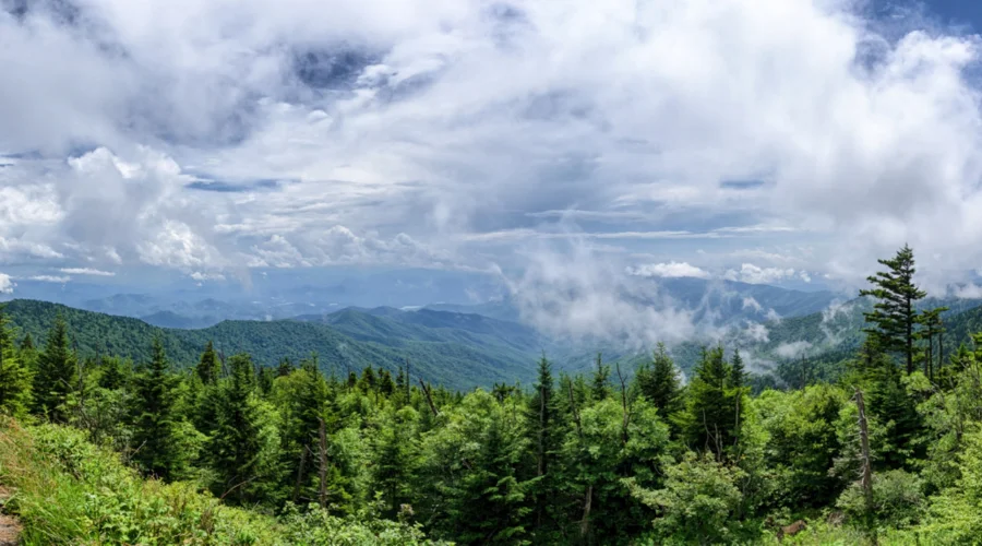 Where to Stay Near Great Smoky Mountains National Park in 2026? Family-Friendly Stays Near Smoky Mountains| Travel Scout