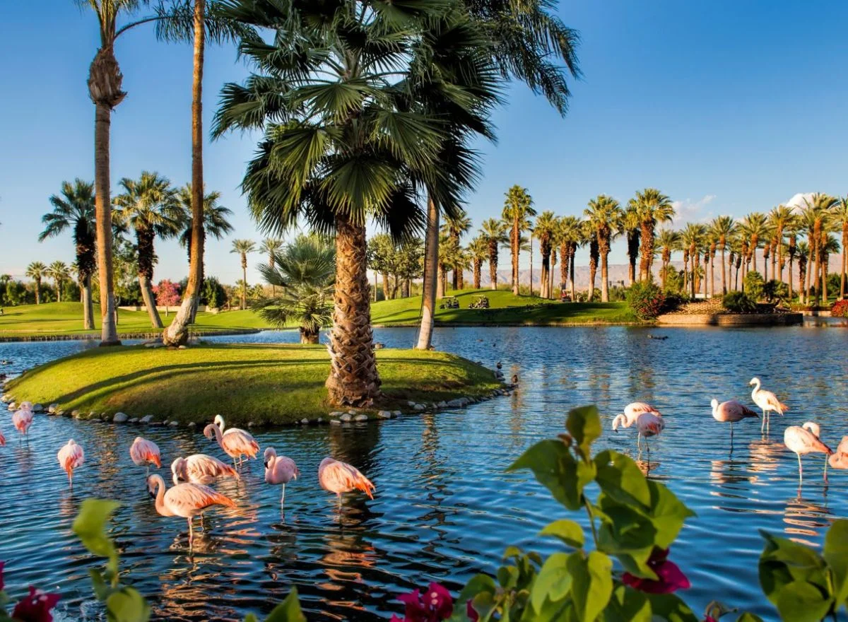 JW Marriott Desert Springs Resort & Spa | Travel Scout