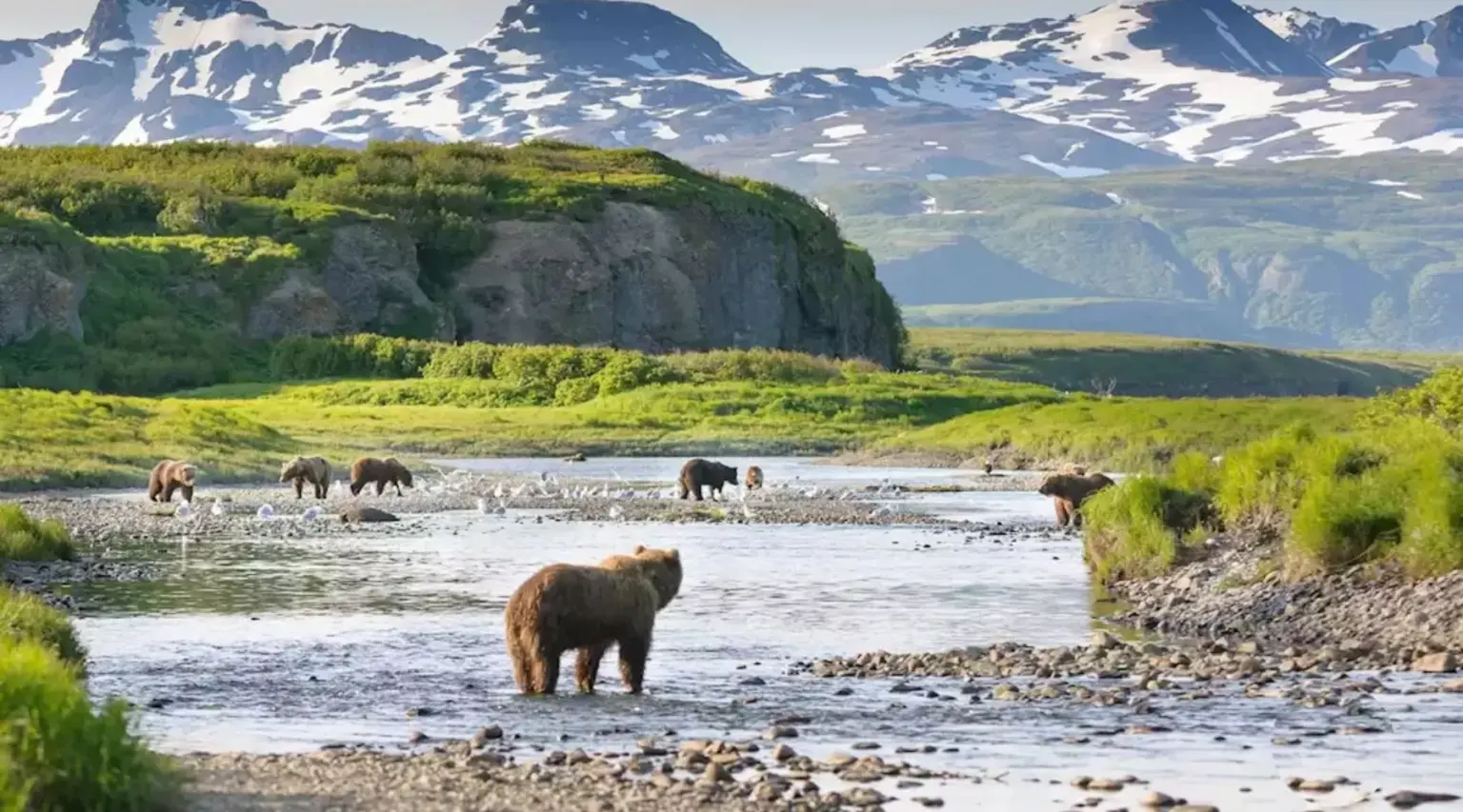 Katmai National Park | Travel Scout