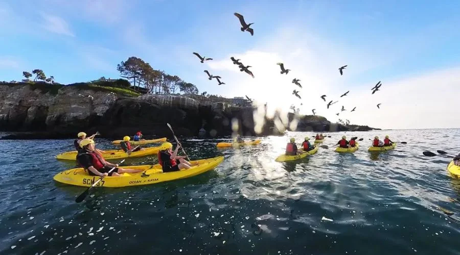 La Jolla Sea Caves Kayak Tour | Travel Scout