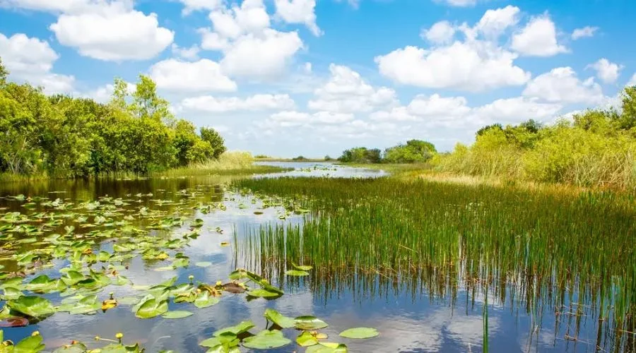National Park, Miami | Travel Scout