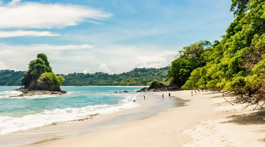 The Jungle Adventure – Wildlife and Hidden Coves in Manuel Antonio | Travel Scout