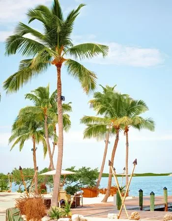 Florida Keys- Best Spring Vacation in Florida | Travel Scout