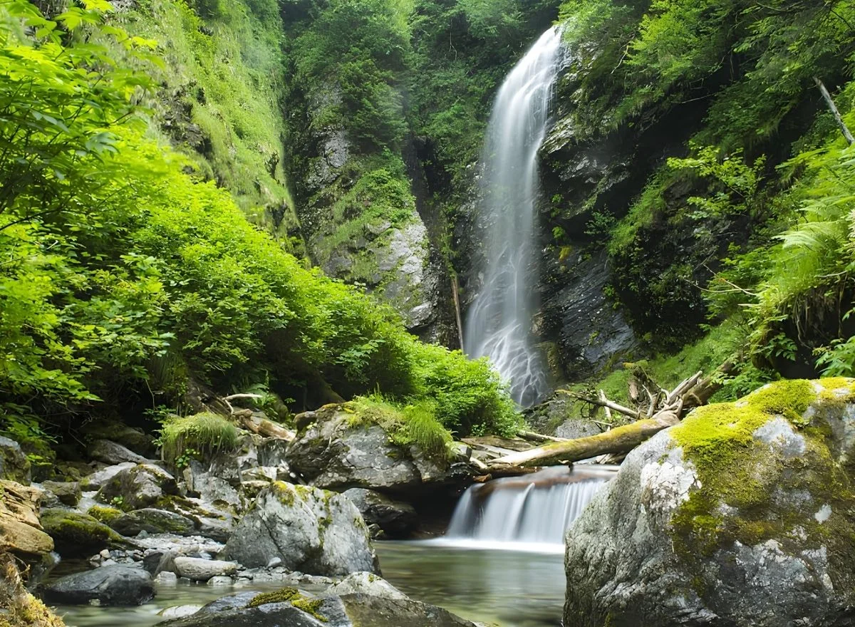 Juneau/Tongass National Forest, Alaska | Travel Scout