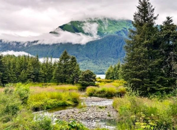 JuneauTongass National Forest | Travel Scout