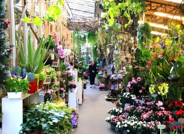 Marché aux Fleurs de Paris | Travel Scout
