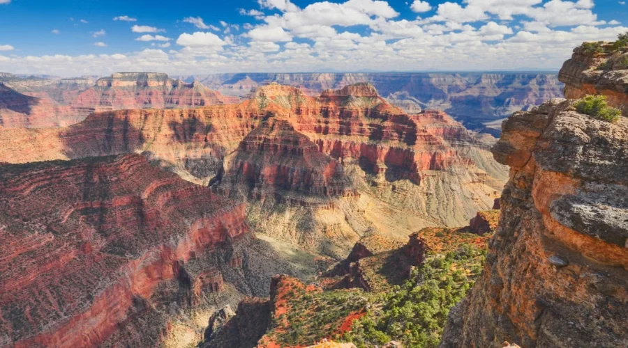 Affected Regions By The Heatwave | Travel Scout